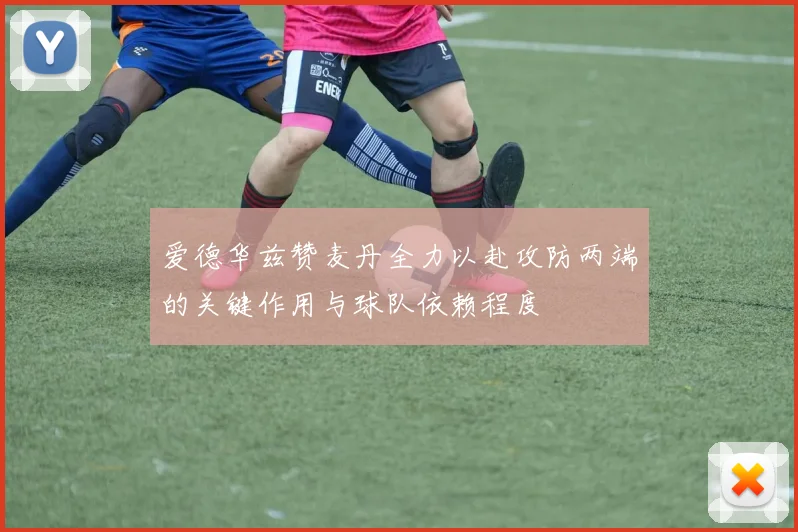 爱德华兹赞麦丹全力以赴攻防两端的关键作用与球队依赖程度