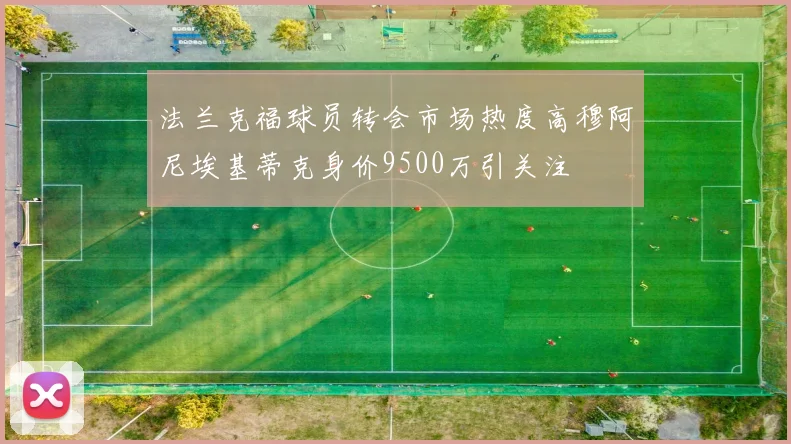 法兰克福球员转会市场热度高穆阿尼埃基蒂克身价9500万引关注