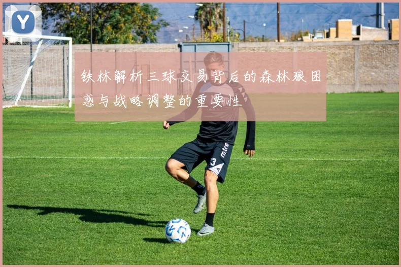 铁林解析三球交易背后的森林狼困惑与战略调整的重要性